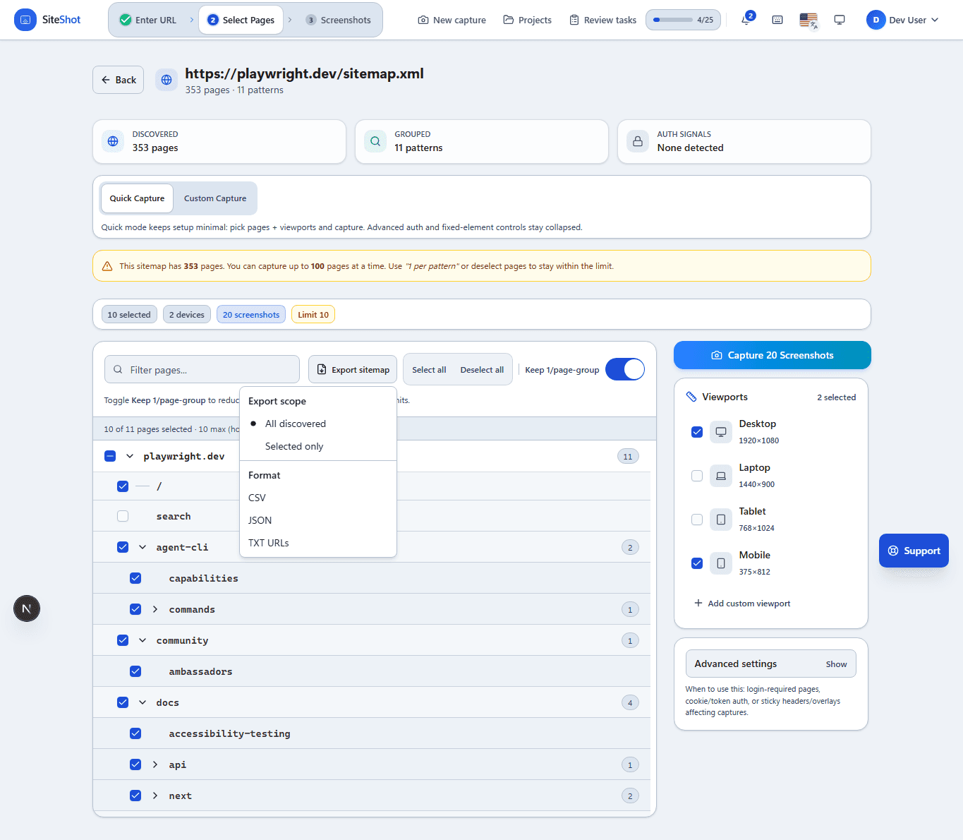 A ViewportKit sitemap capture workflow showing selected website pages for review.